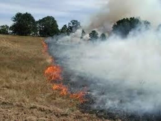 prise d'un arreté afin de prévenir les risques d'incendie